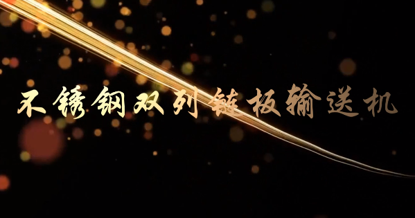 不锈钢双列链板输送机