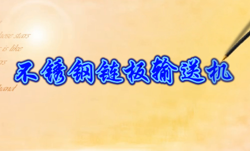 多列不锈钢柔性链板输送机